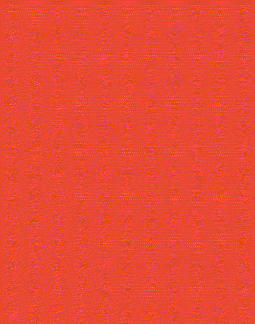 滑雞蓋飯局品牌設計(jì)